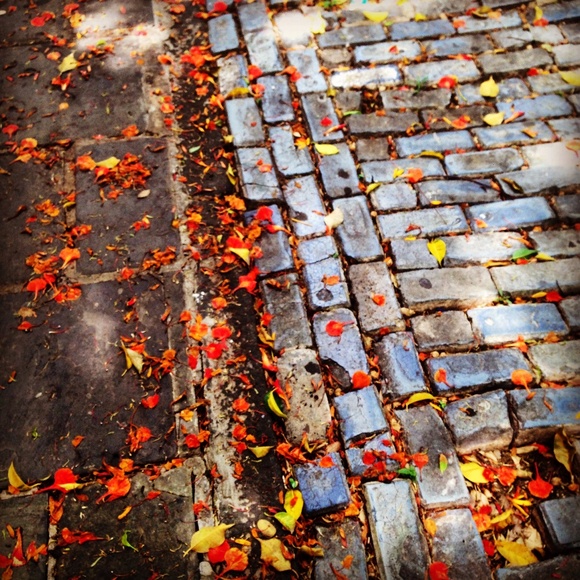 Meet your Posher, Jill - Picture 8 of 8