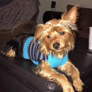 Meet your Posher, Tami