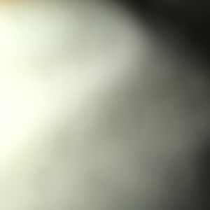 Meet your Posher, Mia