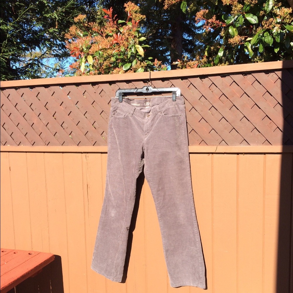 Corduroy modern boot cut pants