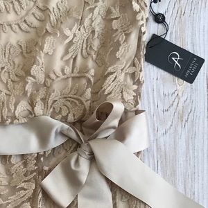 Adrianna Papell Belted Illusion Dress