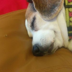 Meet your Posher, Moises