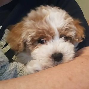 Meet your Posher, Jill