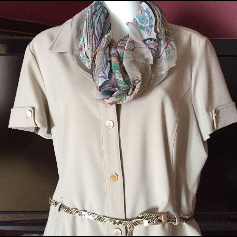 Taupe shirt dress