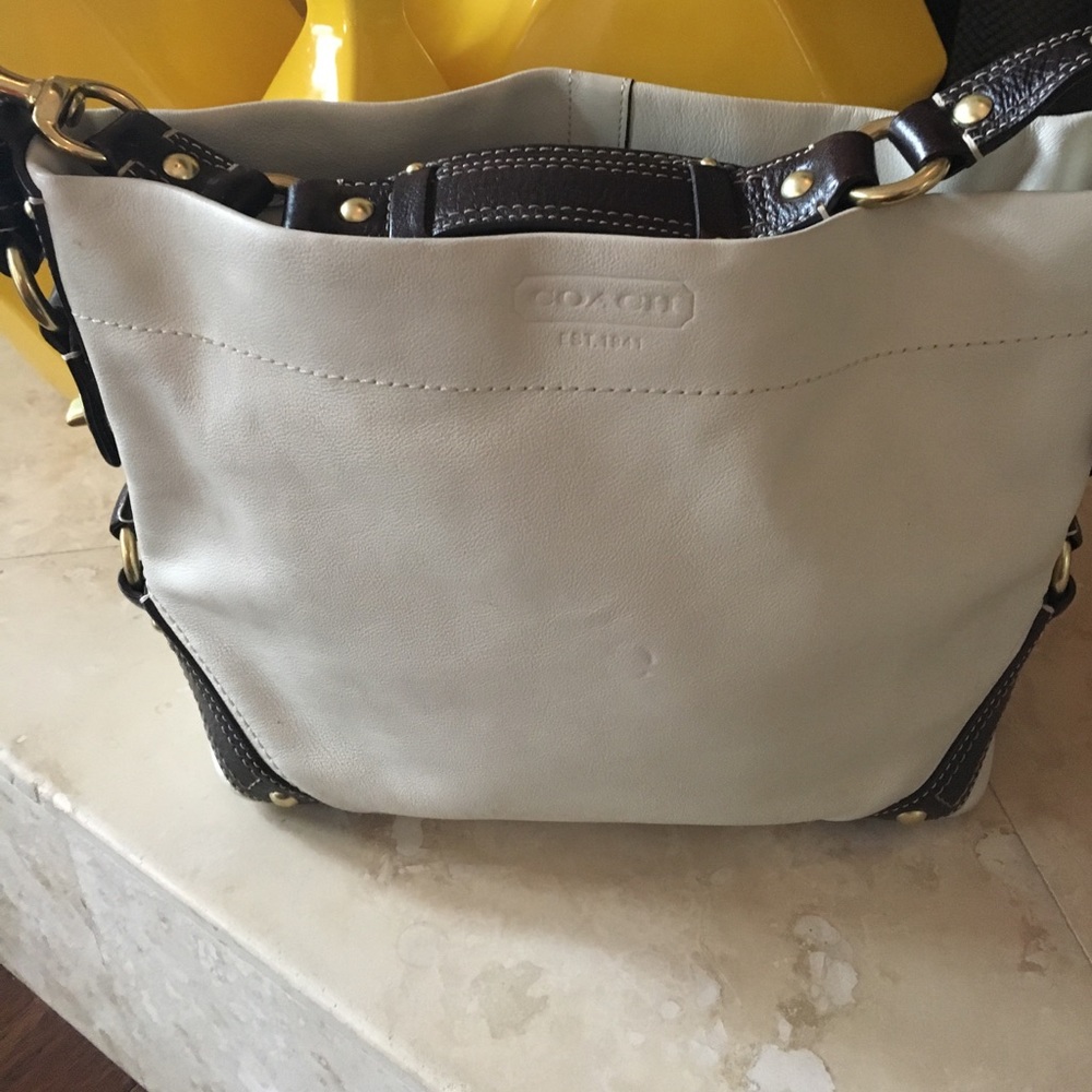 Fashion inspiration elegant coach purse