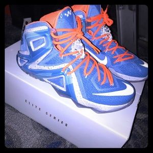 Lebron Elevate XII