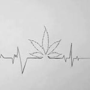 Meet your Posher, Davion