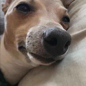 Meet your Posher, Christian