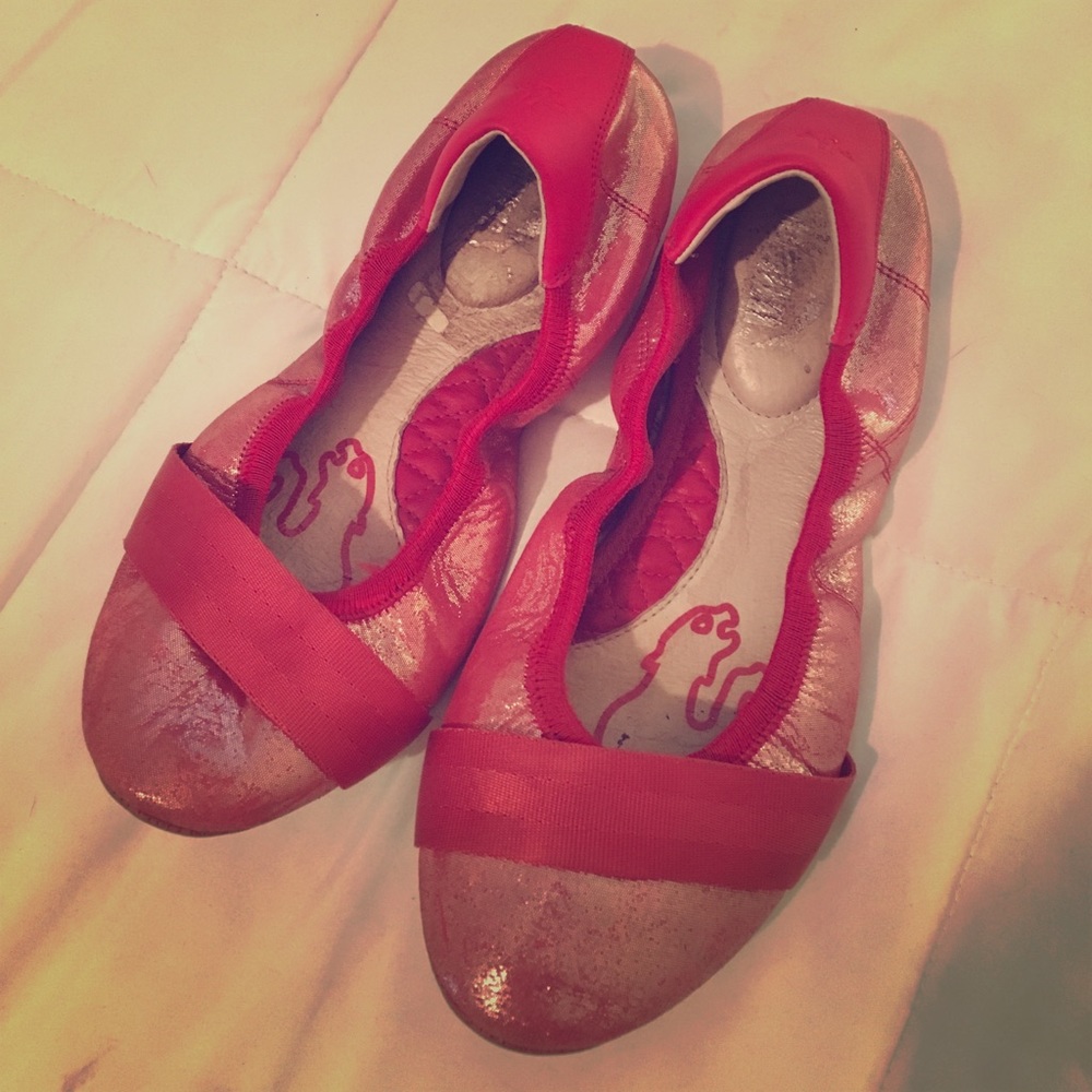 Puma Flats