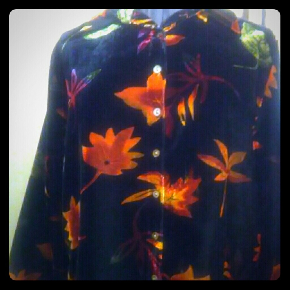 Velvety Blouse size 14W/16W