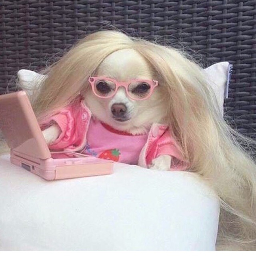 Meet your Posher, Chloe