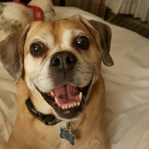 Meet your Posher, Courtnie - Picture 1 of 1