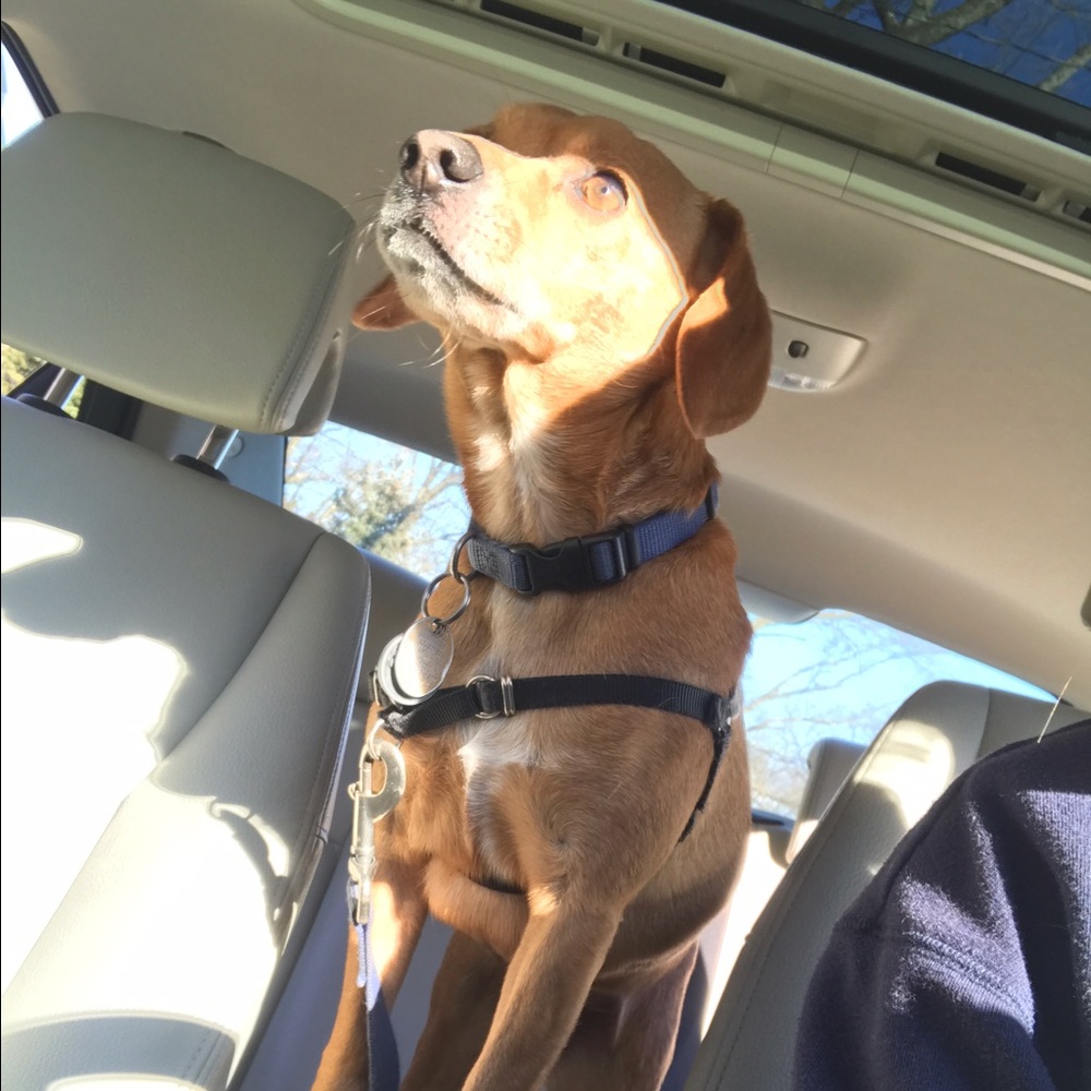 Meet your Posher, Meg