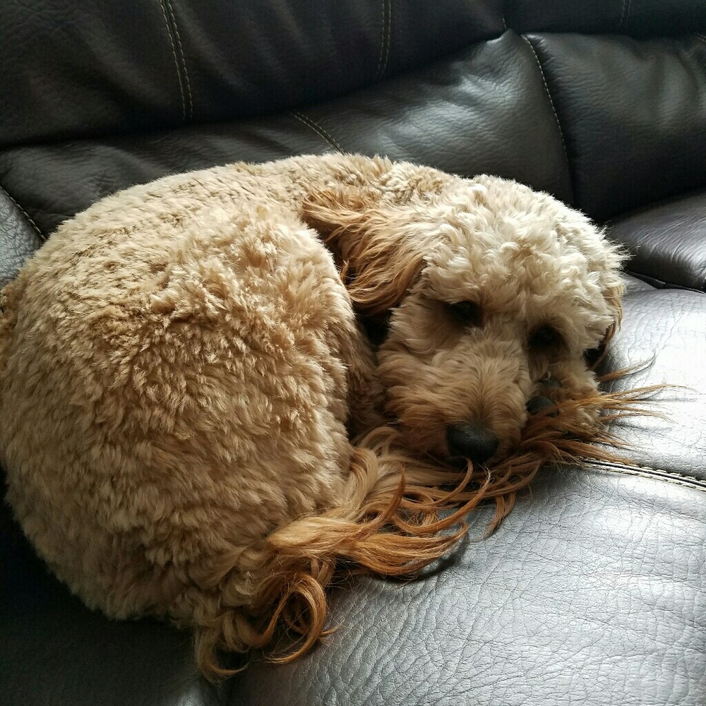 Meet your Posher, Justine