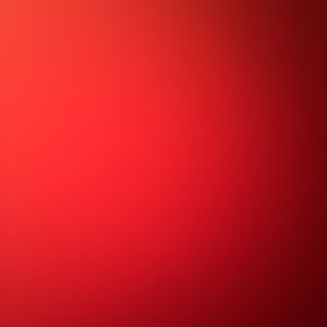 Meet your Posher, Sammy