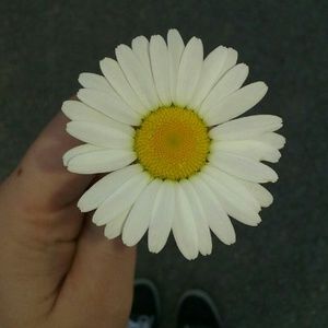 Meet your Posher, Makayla