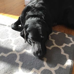 Meet your Posher, Kelly