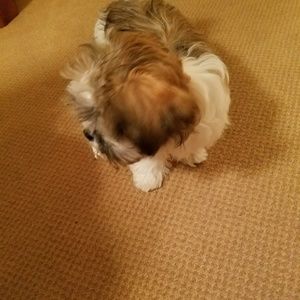 Meet your Posher, Rita