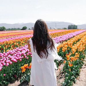 Meet your Posher, Sabrina