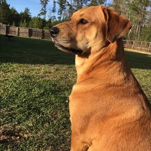 Meet your Posher, Jasmine