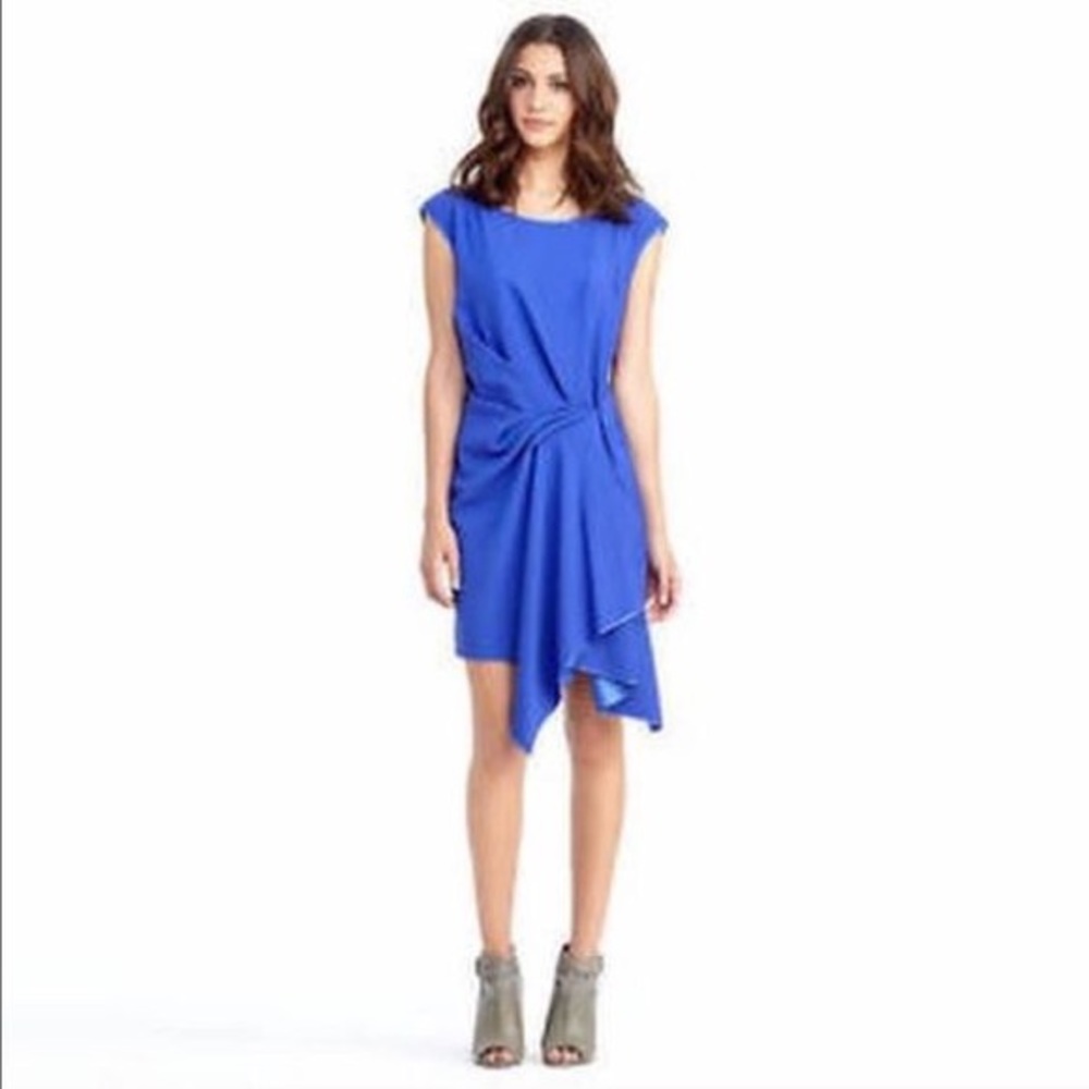 Rachel Roy dress