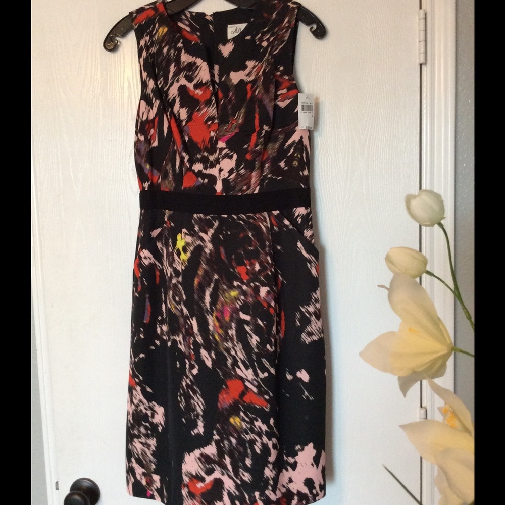 Milly Dress NWT