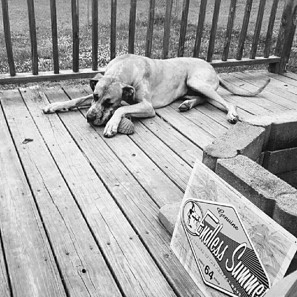 Meet your Posher, Jason