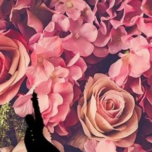 Meet your Posher, Sabrina