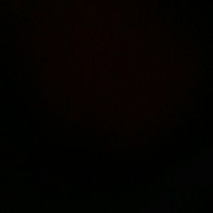 Meet your Posher, Larica