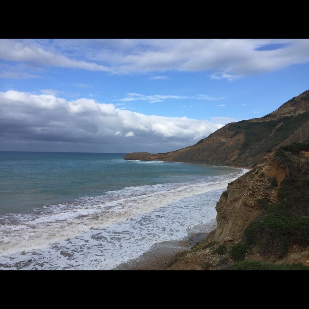 Meet your Posher, Madhrshini