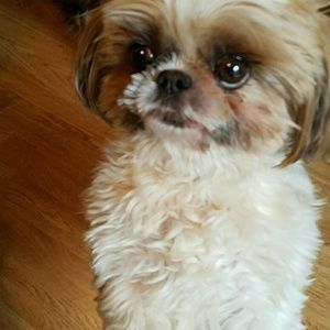 Meet your Posher, Julie