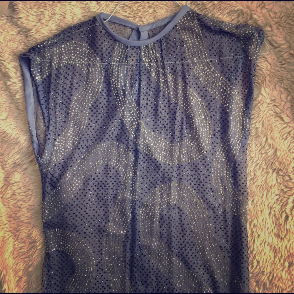 fancy French party dress