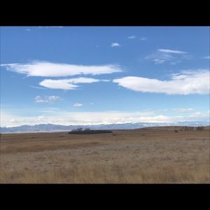 Meet your Posher, Alli