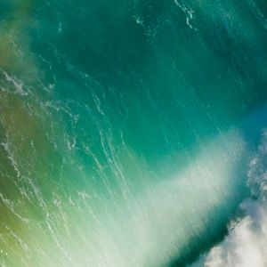 Meet your Posher, Jailyn