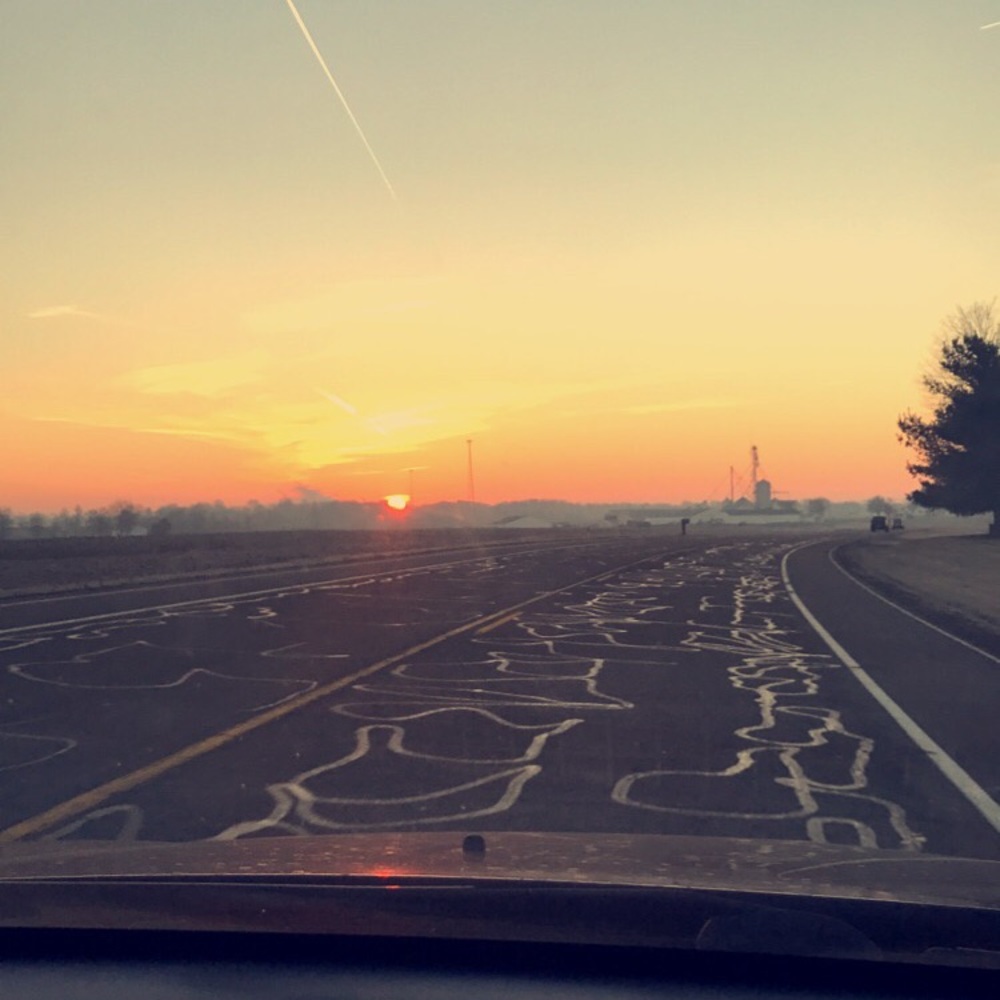 Meet your Posher, Landen