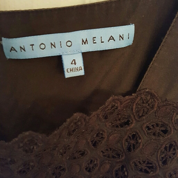 Brown Dress with Lace Detail - Picture 5 of 6