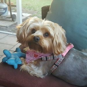 Meet your Posher, Tami
