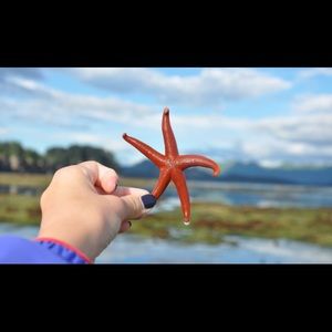 Meet your Posher, Abbie