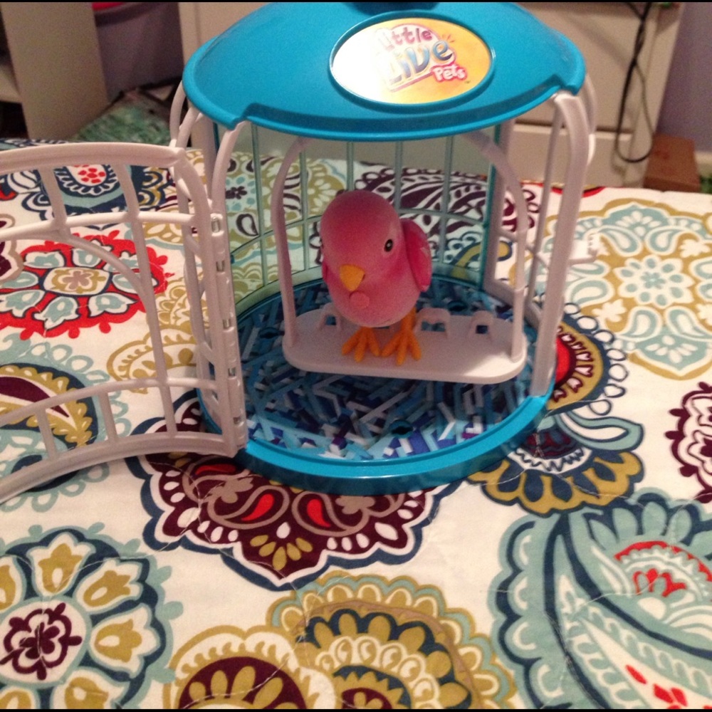 Little live pet