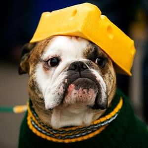 Meet your Posher, Carnell