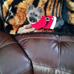 Meet your Posher, Jen