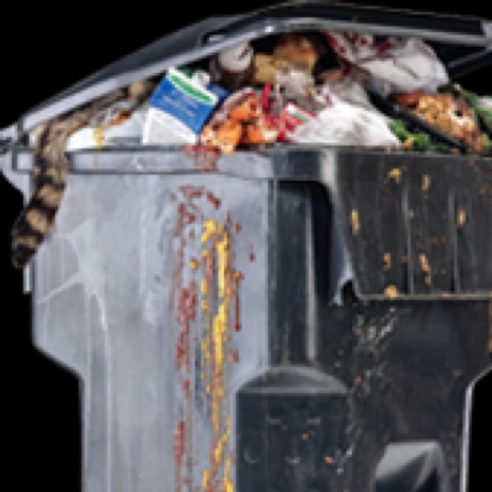 Meet your Posher, Luzwen