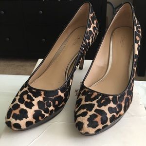 Coach Giovanna Leopard Print Calf hair size 8