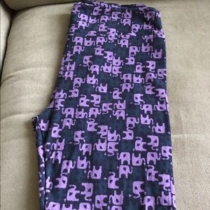 These have to be someone's unicorns!!