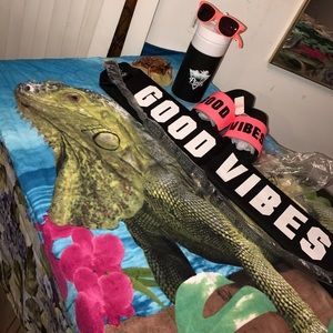 BNWT VS PINK SLIDES ONLY