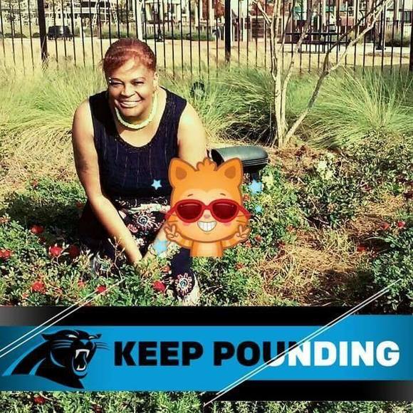 Meet your Posher, Fay - Picture 1 of 1