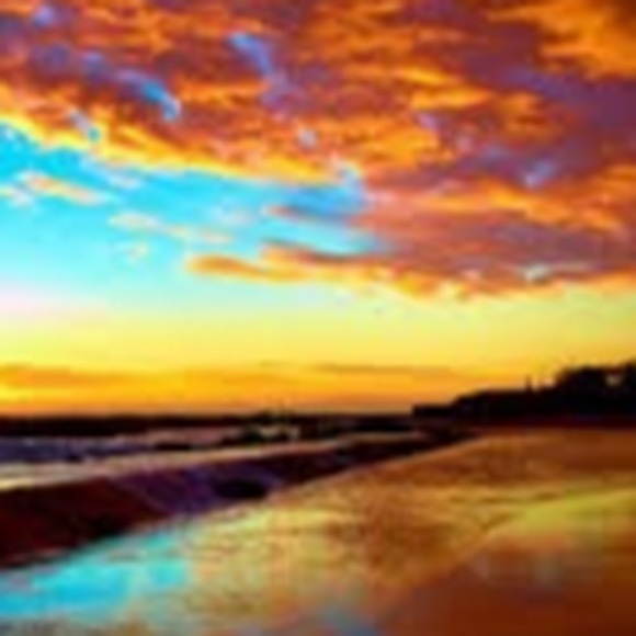 Meet your Posher, Alexis - Picture 1 of 1