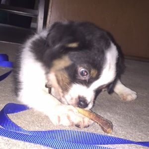 Meet your Posher, Chelsea