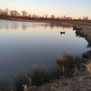 Meet your Posher, Cuyler