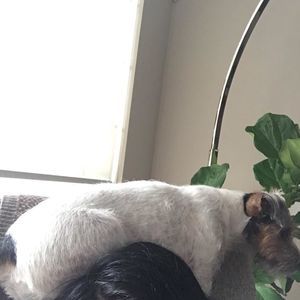 Meet your Posher, Beatriz